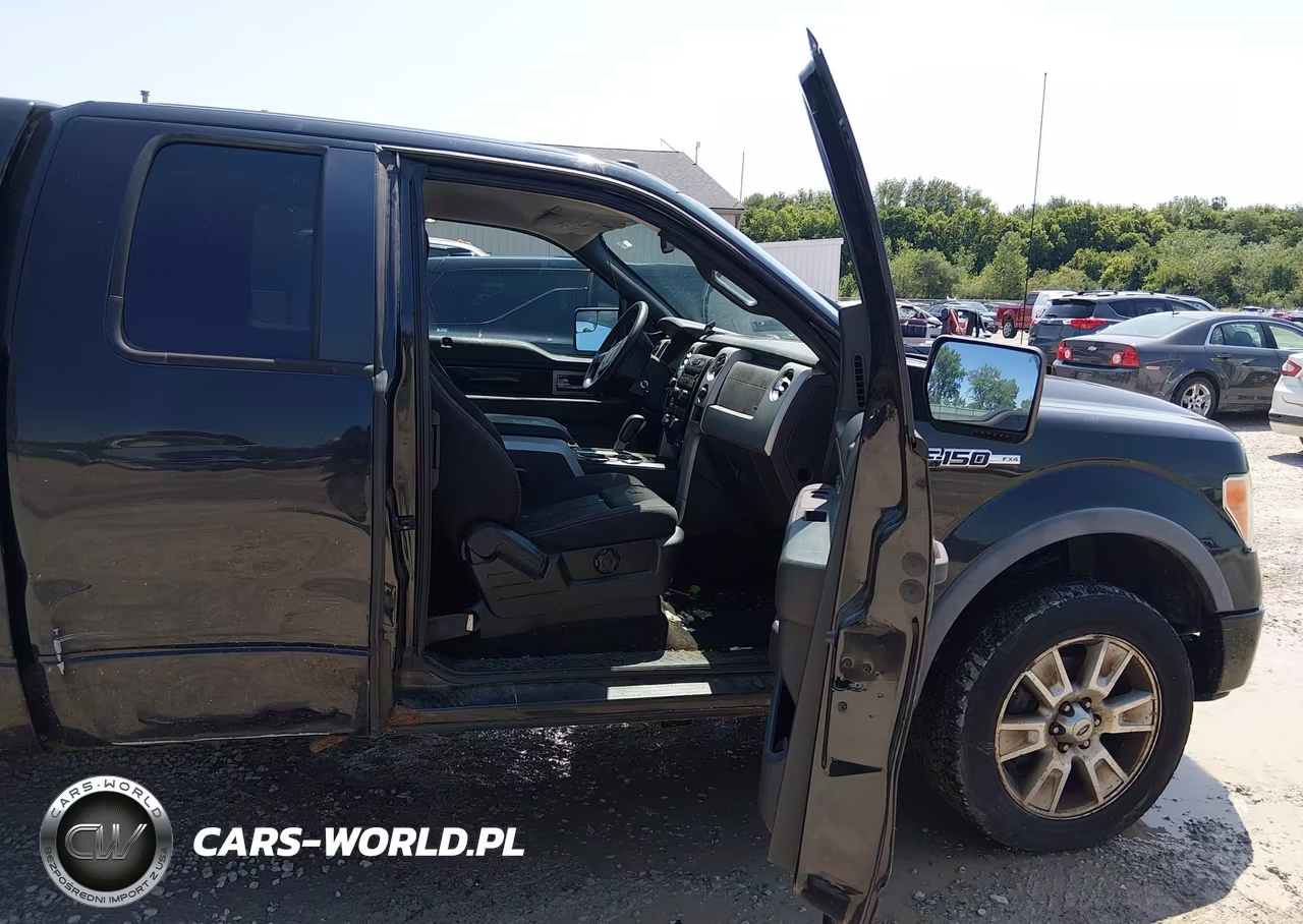 2010 Ford F-150 Fx4-Lariat-Xl-Xlt VIN:1FTFX1EV8AFB61632 - 5