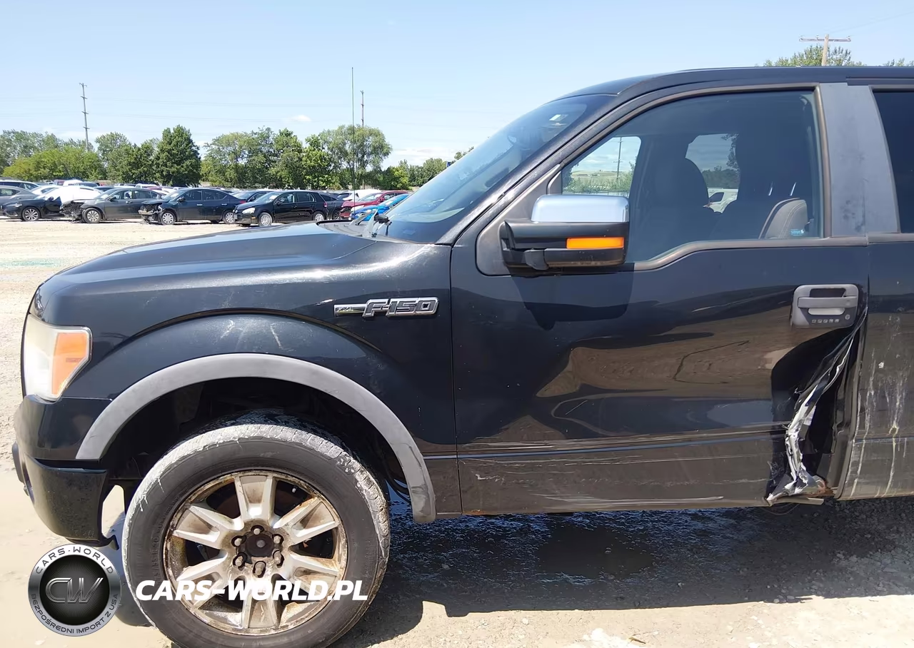2010 Ford F-150 Fx4-Lariat-Xl-Xlt VIN:1FTFX1EV8AFB61632 - 6