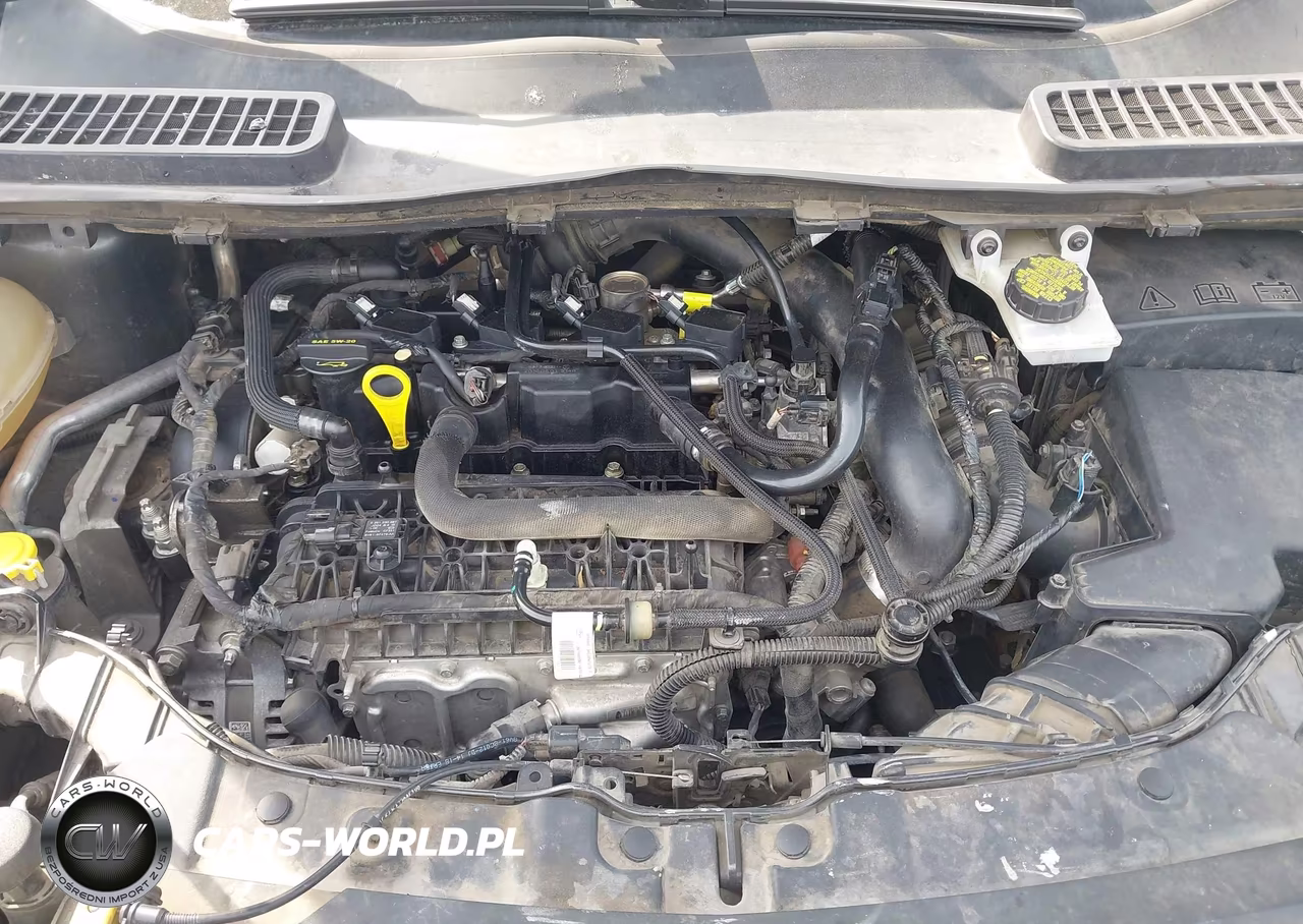 2018 Ford Escape Se VIN:1FMCU0GD4JUD07557 - 10