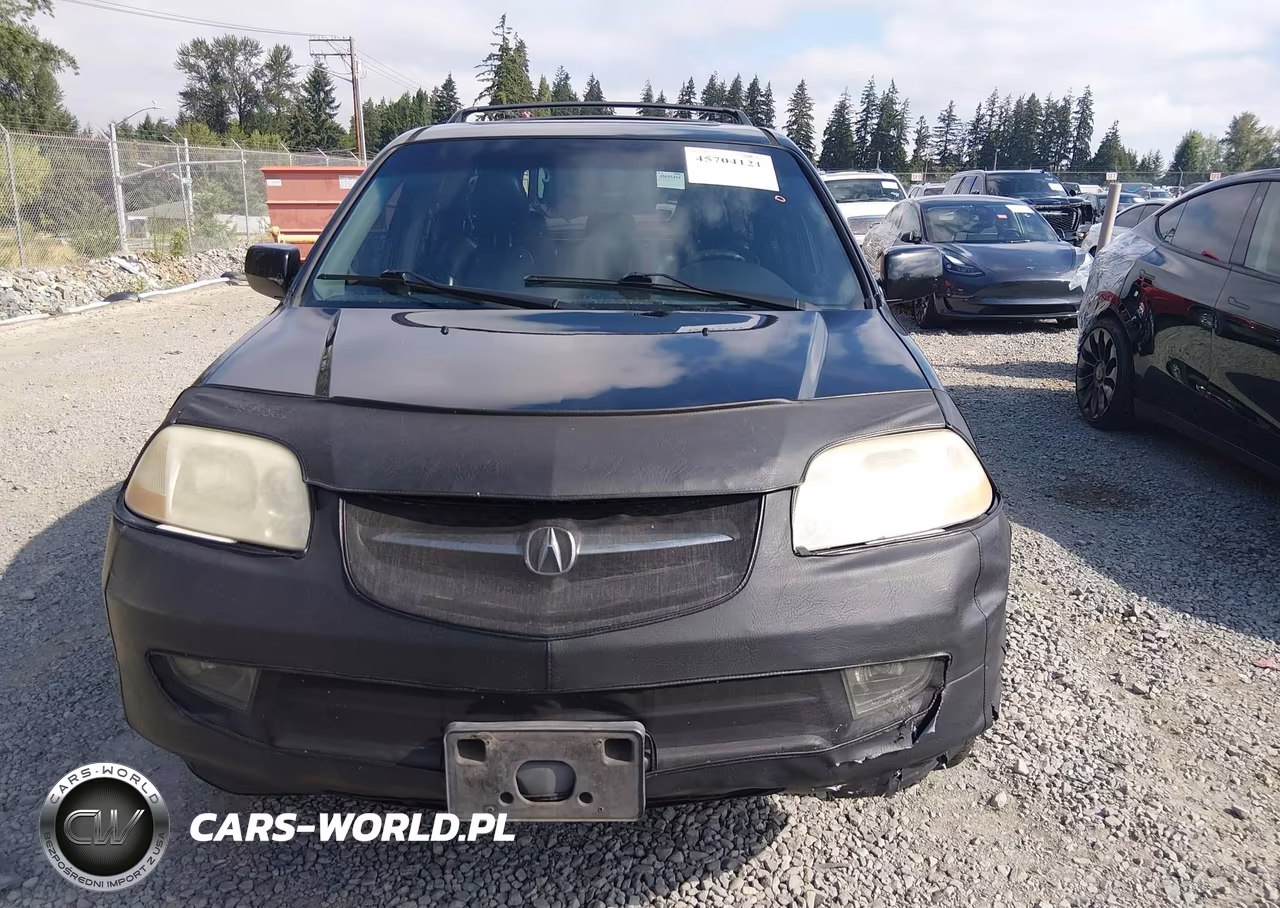 2003 Acura Mdx VIN:2HNYD18743H502048 - 12