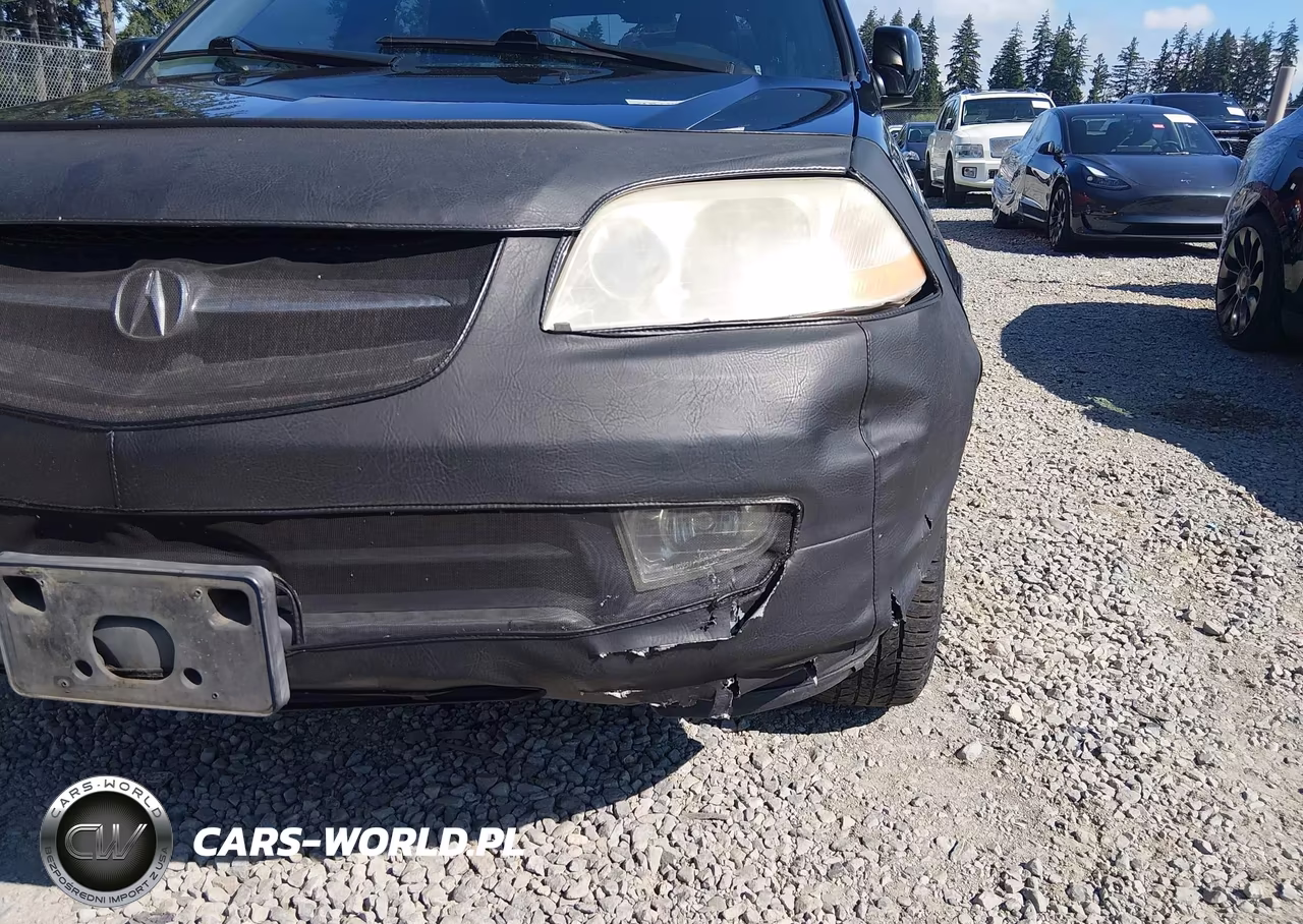 2003 Acura Mdx VIN:2HNYD18743H502048 - 6