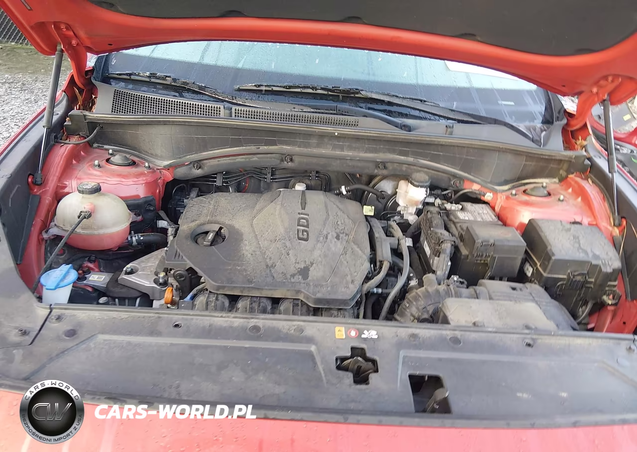 2022 Hyundai Santa Fe Xrt VIN:5NMS64AJ1NH459888 - 10