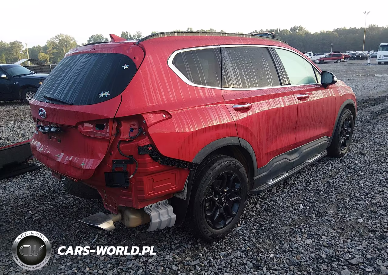 2022 Hyundai Santa Fe Xrt VIN:5NMS64AJ1NH459888 - 4