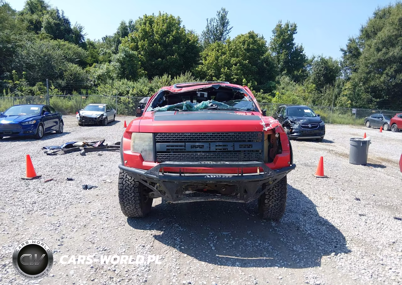 2010 Ford F-150 Svt Raptor VIN:1FTEX1EV8AFA20345 - 12