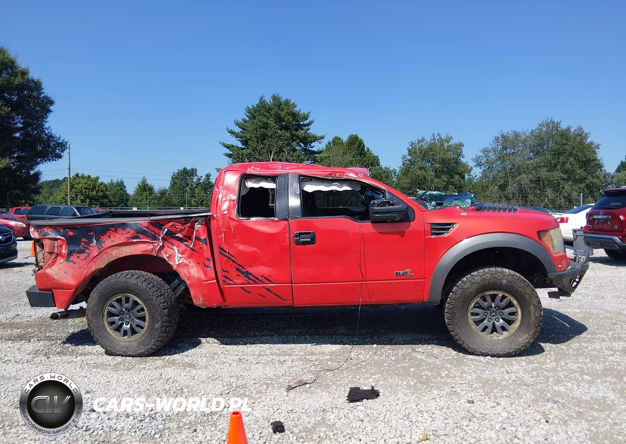 2010 Ford F-150 Svt Raptor VIN:1FTEX1EV8AFA20345 - 13