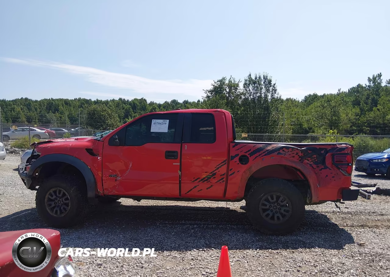 2010 Ford F-150 Svt Raptor VIN:1FTEX1EV8AFA20345 - 14