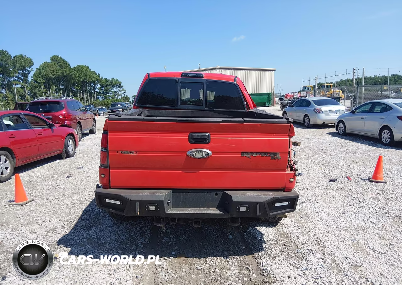 2010 Ford F-150 Svt Raptor VIN:1FTEX1EV8AFA20345 - 16