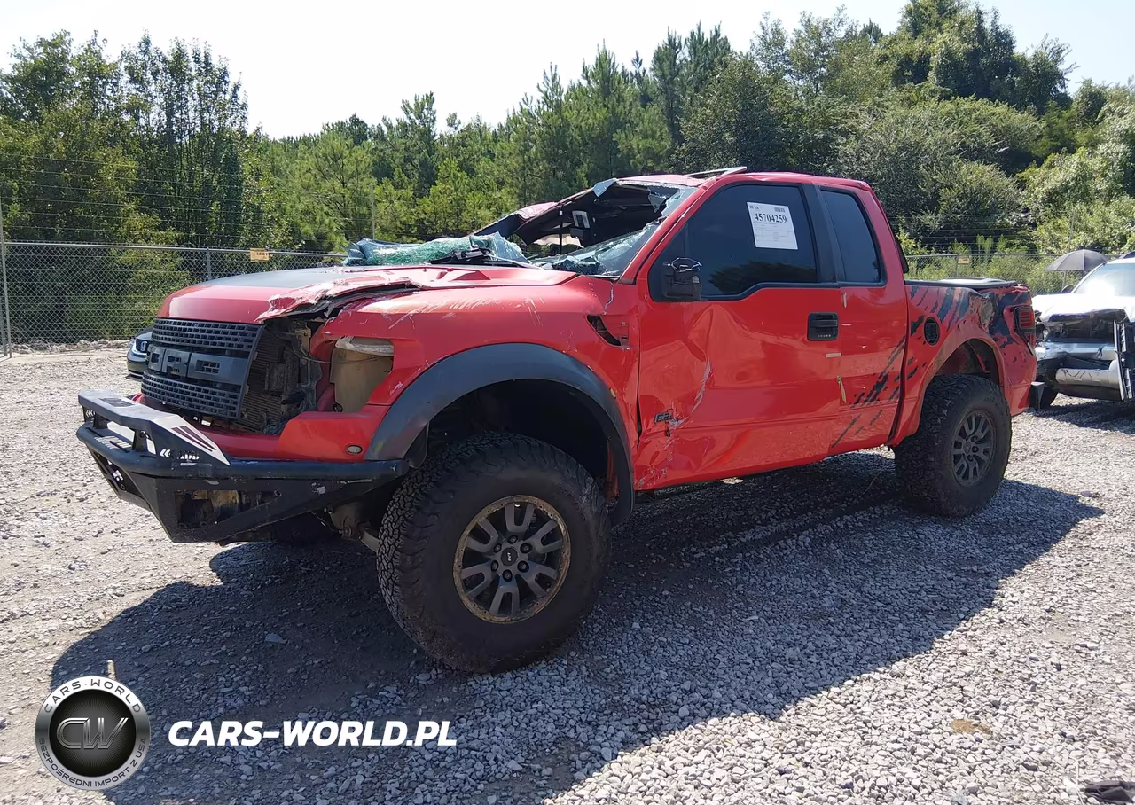 2010 Ford F-150 Svt Raptor VIN:1FTEX1EV8AFA20345 - 2