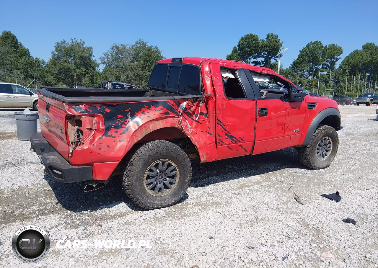 2010 Ford F-150 Svt Raptor VIN:1FTEX1EV8AFA20345 - 4