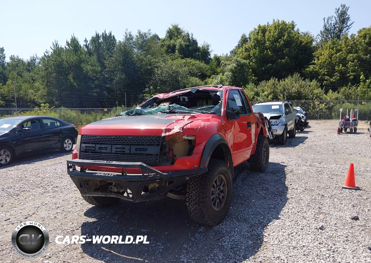 2010 Ford F-150 Svt Raptor VIN:1FTEX1EV8AFA20345 - 6