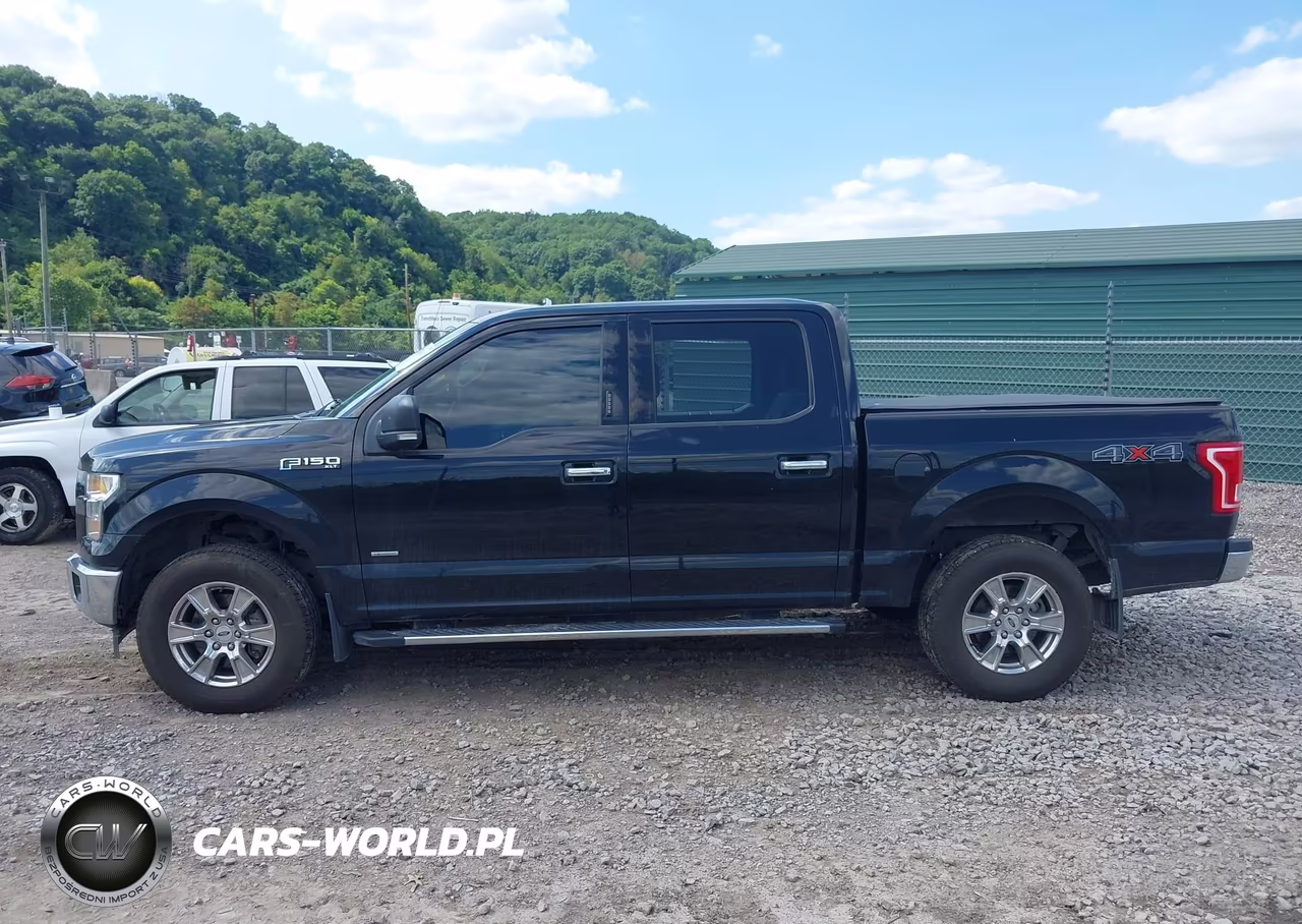 2017 Ford F-150 Xlt VIN:1FTEW1EP4HFA84218 - 14