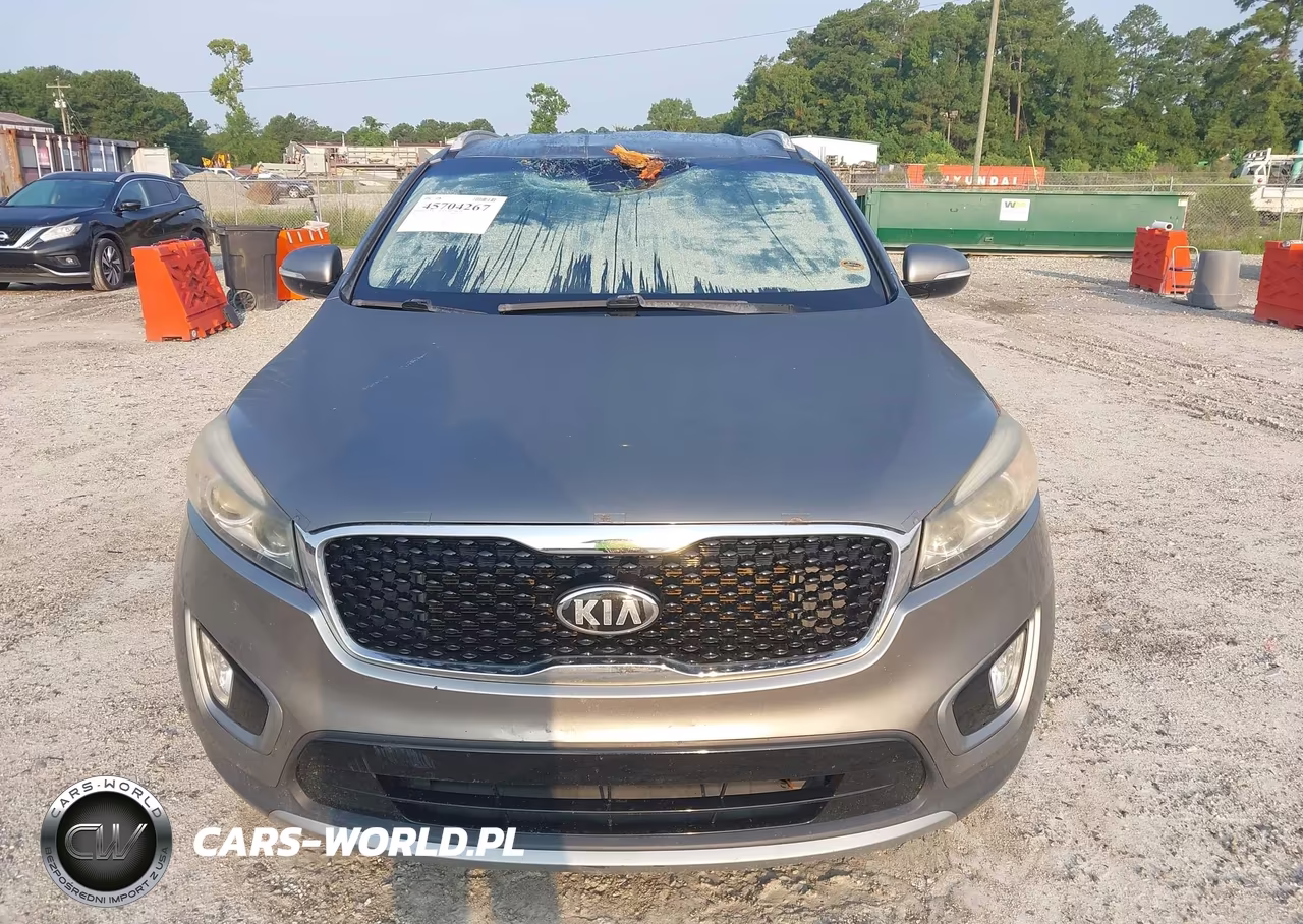 2016 Kia Sorento 3.3L Ex VIN:5XYPH4A52GG093455 - 12