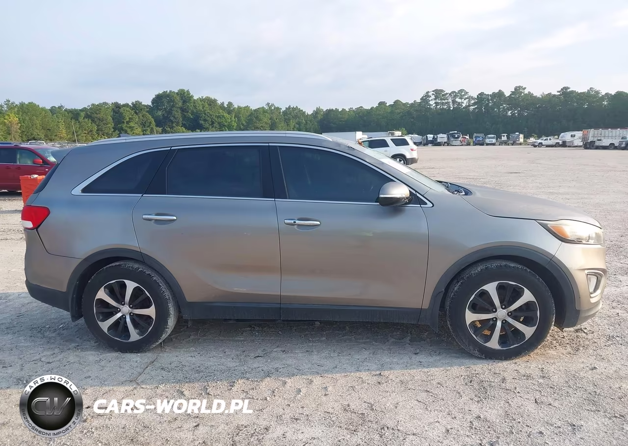 2016 Kia Sorento 3.3L Ex VIN:5XYPH4A52GG093455 - 13