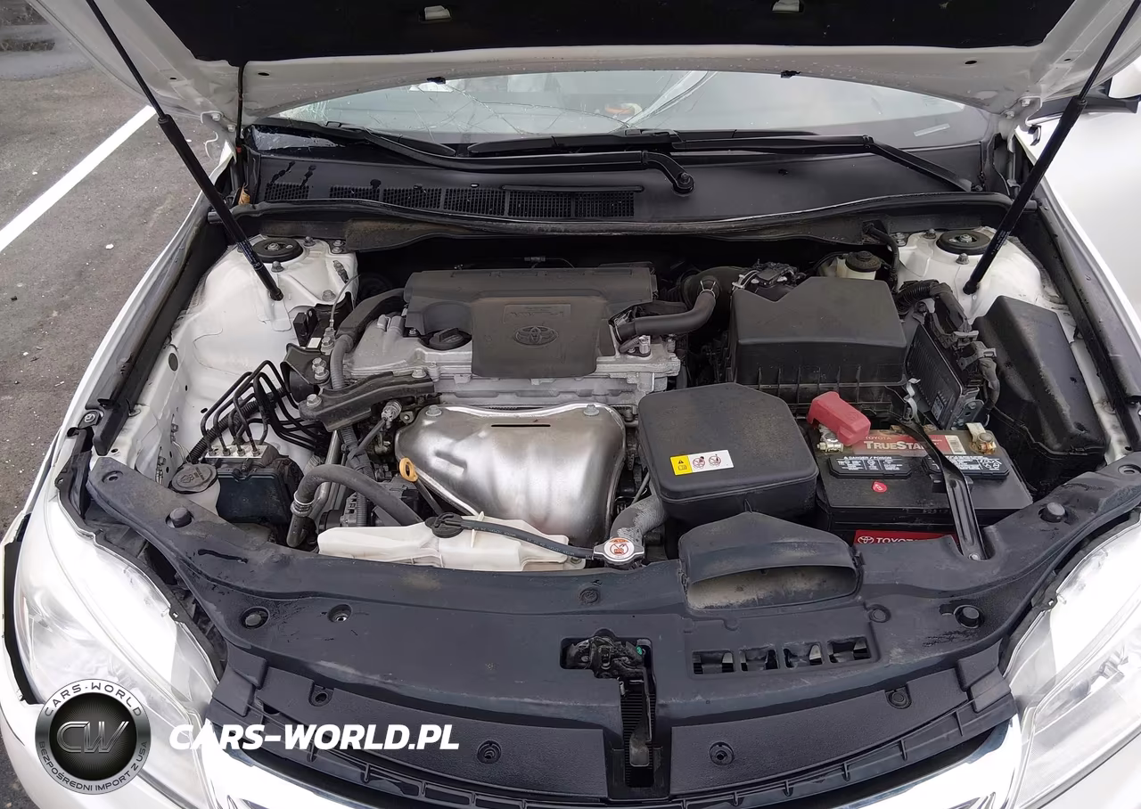 2017 Toyota Camry Xle VIN:4T1BF1FKXHU410794 - 10