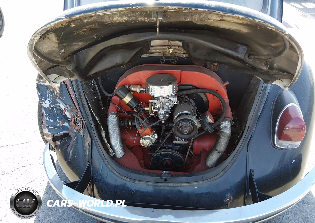 1968 Volkswagen Beetle VIN:118702064 - 10
