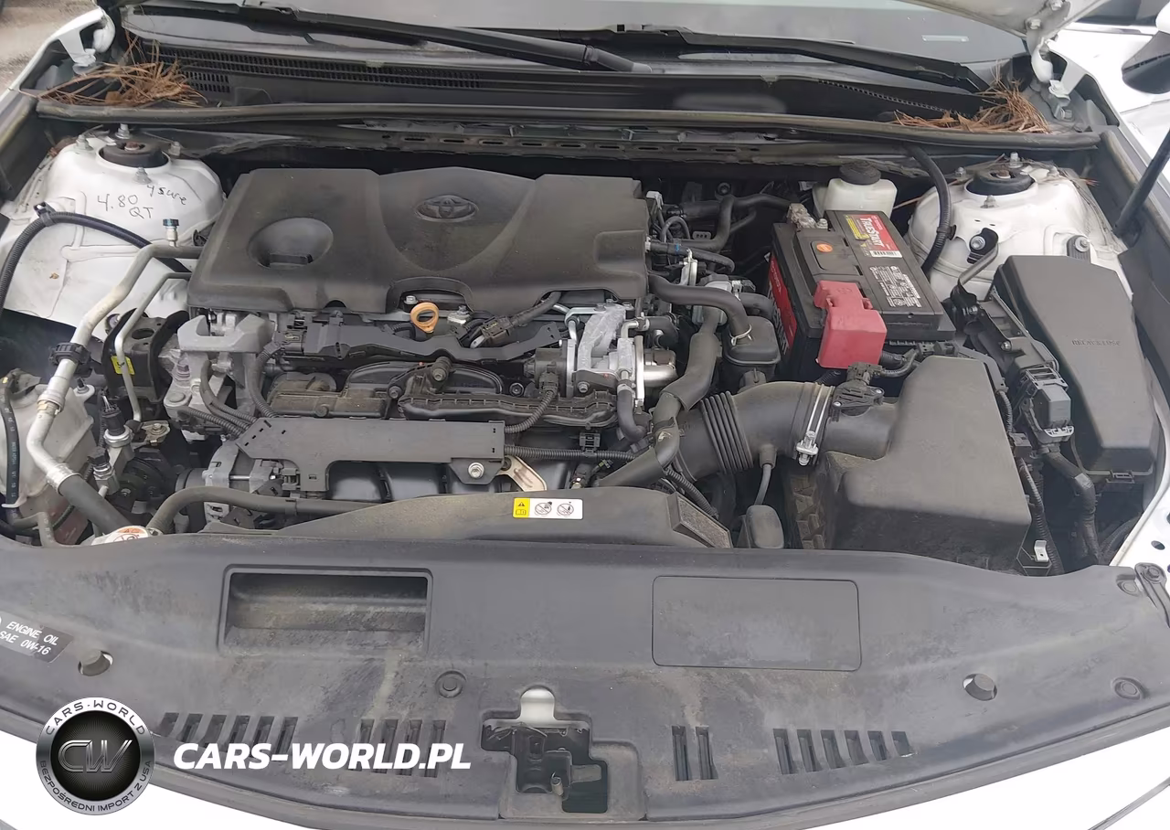 2019 Toyota Camry Le VIN:4T1B11HK8KU782198 - 10