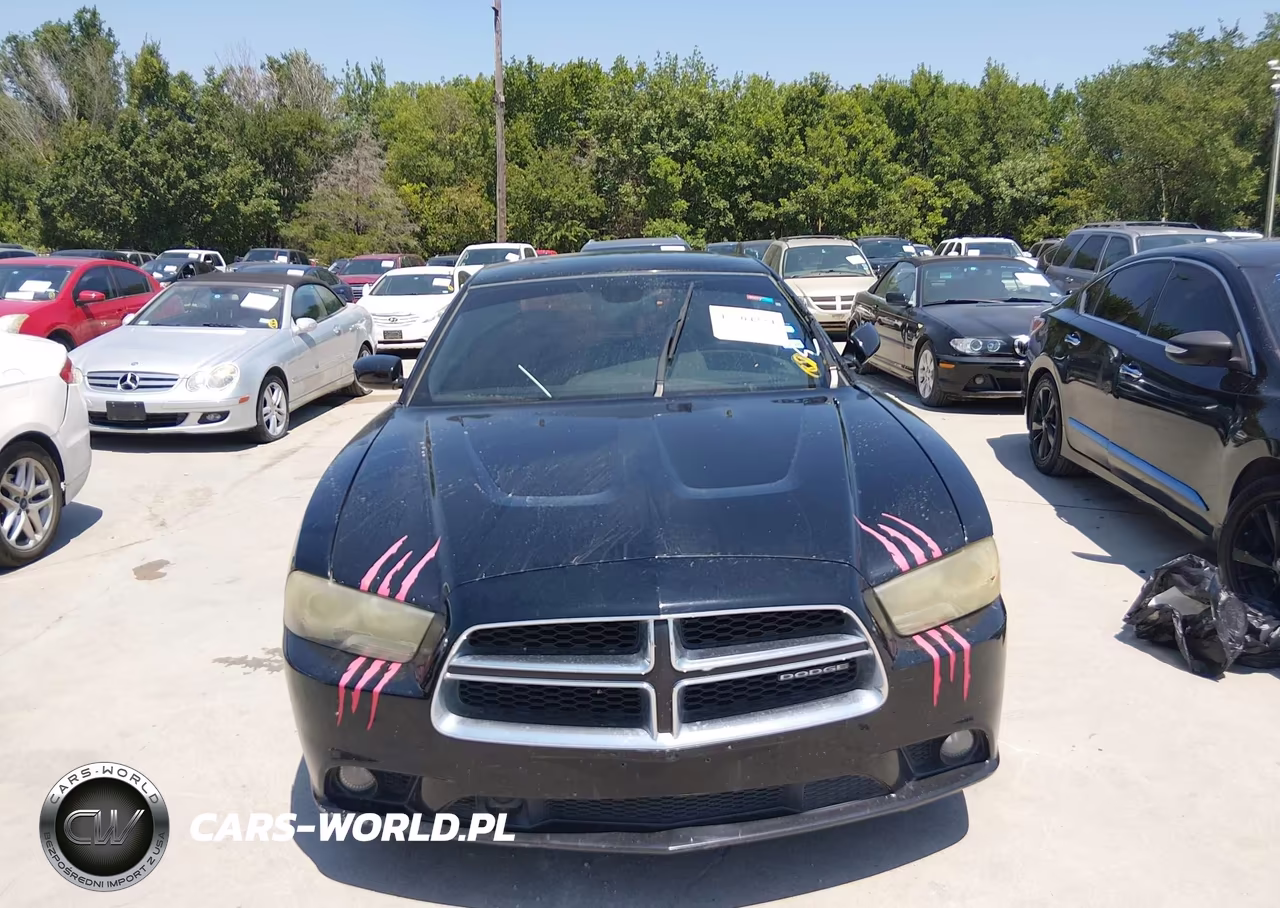 2012 Dodge Charger Sxt VIN:2C3CDXHG4CH135529 - 12