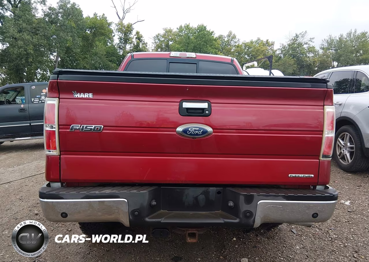 2013 Ford F-150 Xlt VIN:1FTFW1EF6DFD02312 - 16