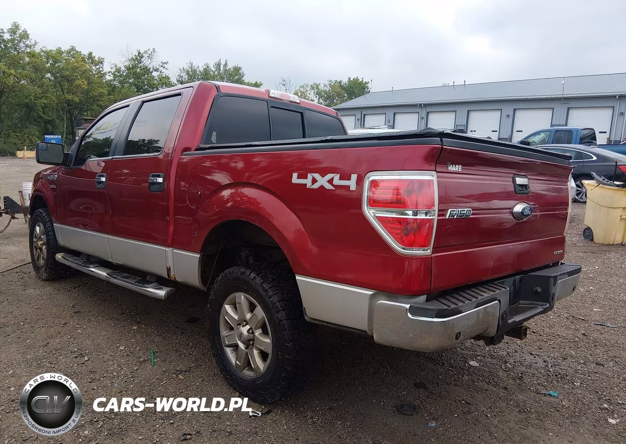 2013 Ford F-150 Xlt VIN:1FTFW1EF6DFD02312 - 3