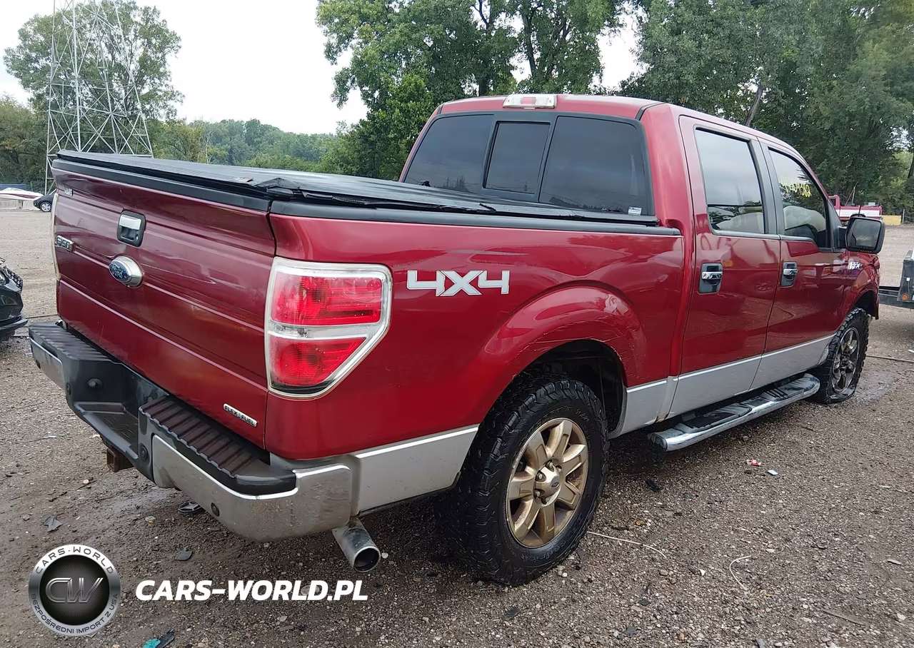 2013 Ford F-150 Xlt VIN:1FTFW1EF6DFD02312 - 4