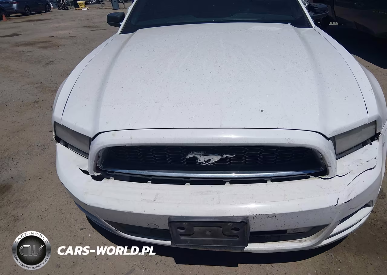 2014 Ford Mustang V6 VIN:1ZVBP8EM0E5210653 - 19