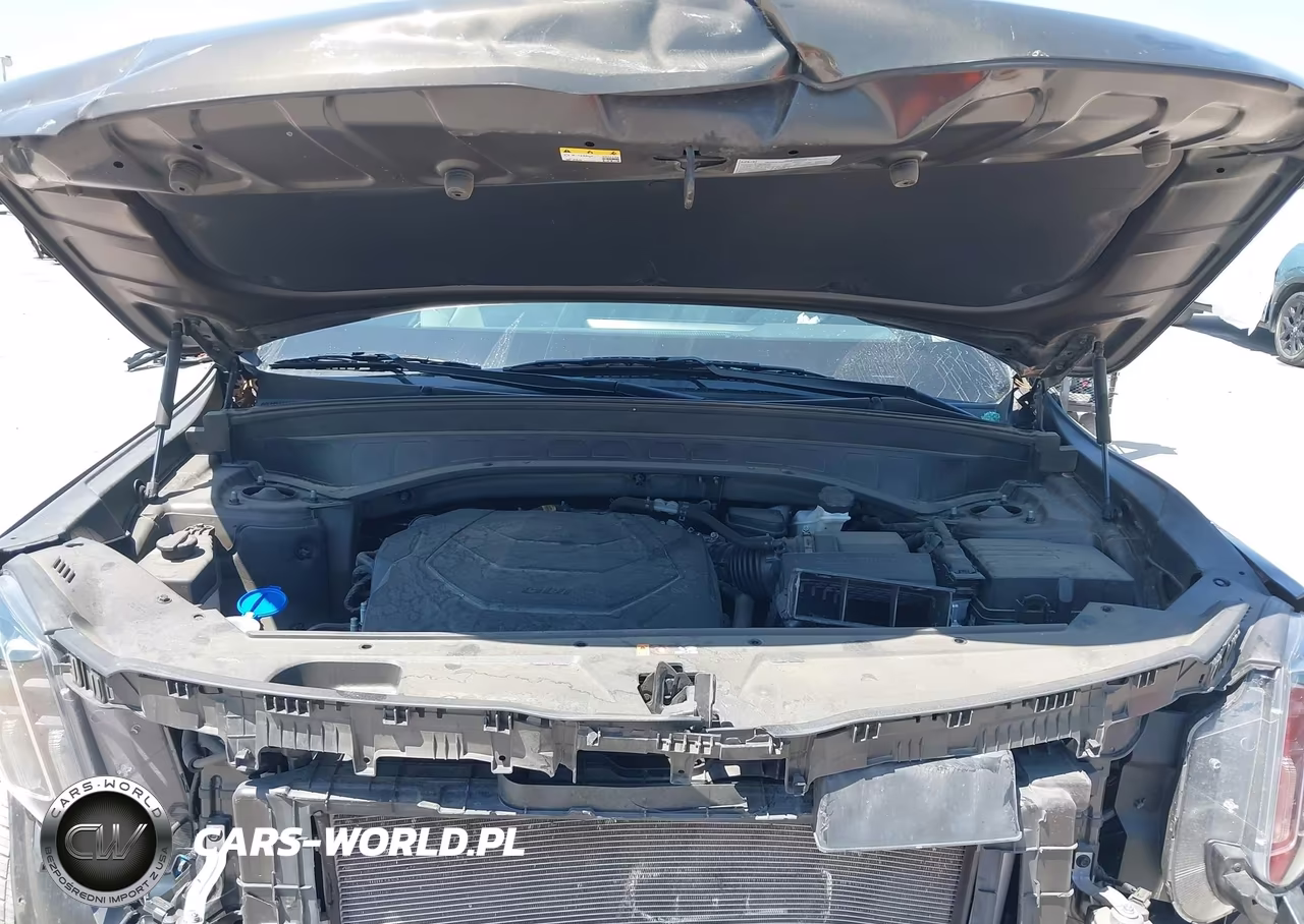 2023 Kia Telluride Ex VIN:5XYP3DGC5PG340844 - 10