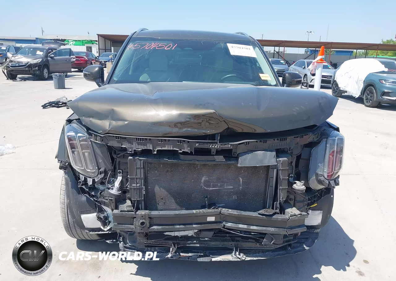 2023 Kia Telluride Ex VIN:5XYP3DGC5PG340844 - 12