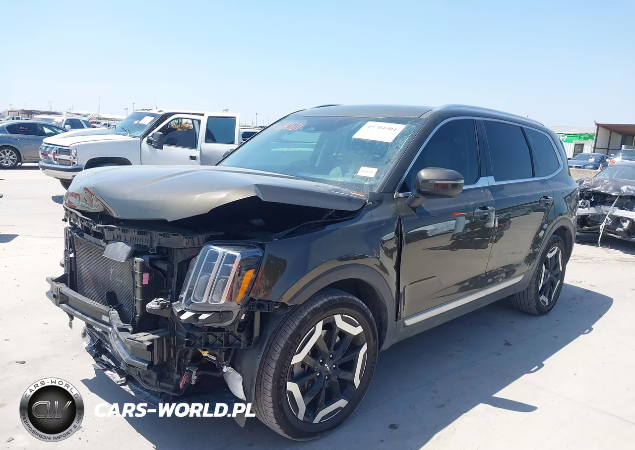 2023 Kia Telluride Ex VIN:5XYP3DGC5PG340844 - 2