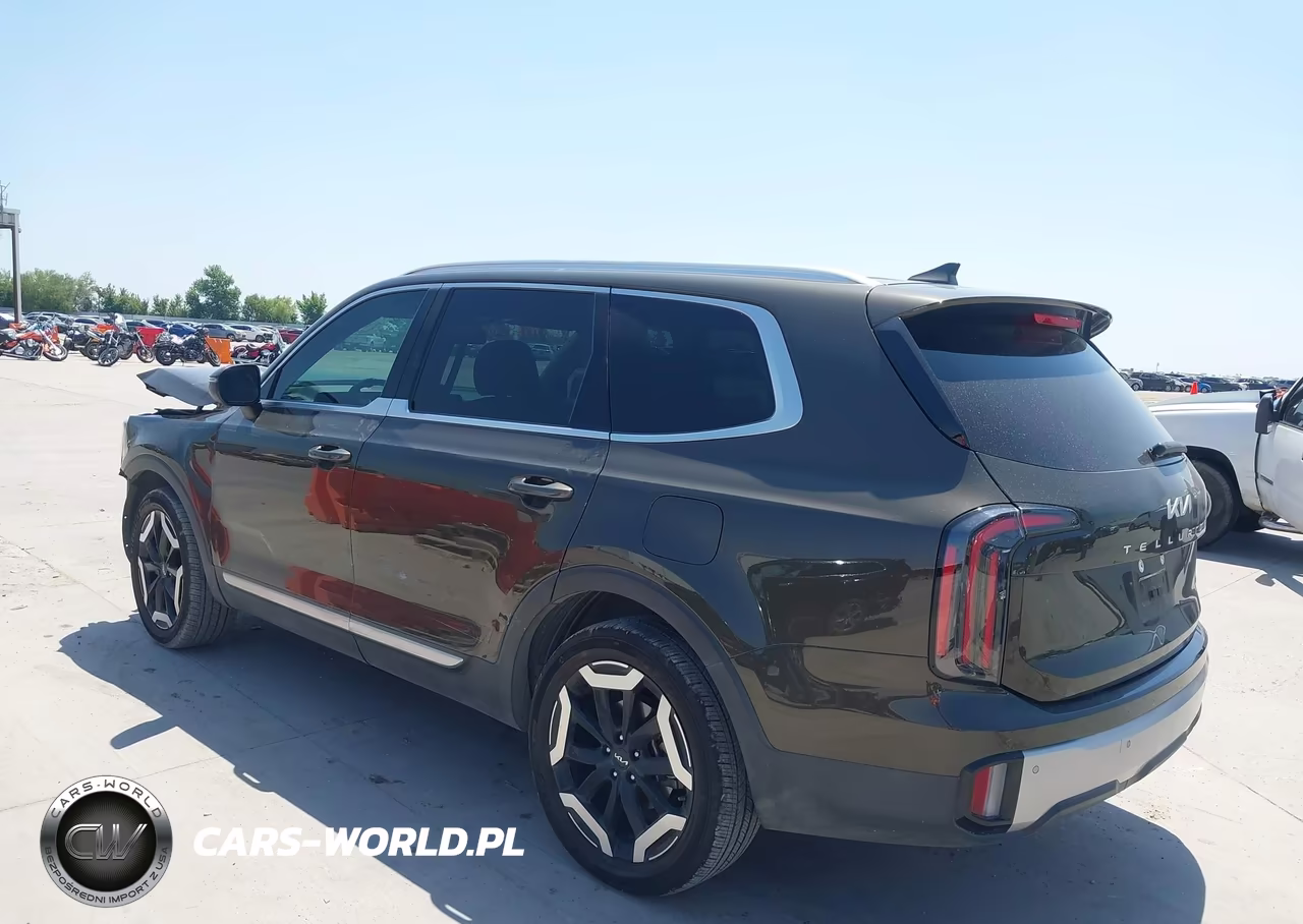 2023 Kia Telluride Ex VIN:5XYP3DGC5PG340844 - 3