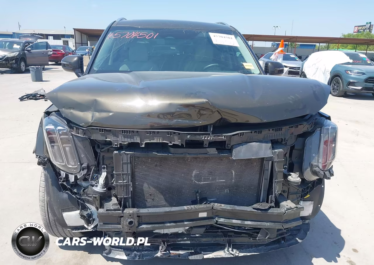2023 Kia Telluride Ex VIN:5XYP3DGC5PG340844 - 6