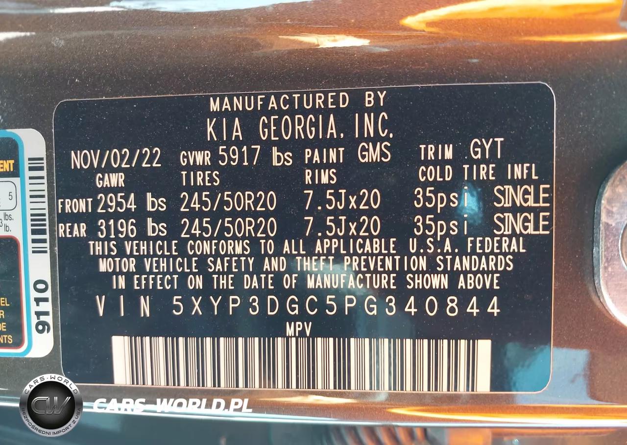 2023 Kia Telluride Ex VIN:5XYP3DGC5PG340844 - 9