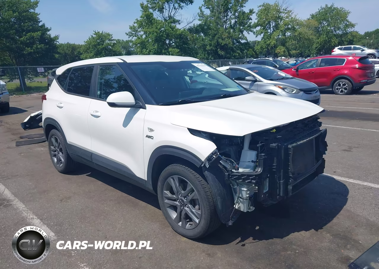 2021 Kia Seltos Lx VIN:KNDEPCAA6M7116343 - 1