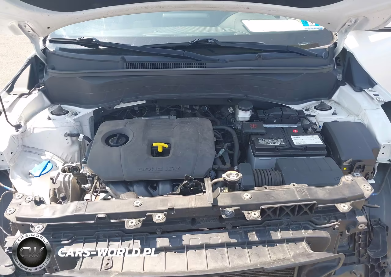 2021 Kia Seltos Lx VIN:KNDEPCAA6M7116343 - 10