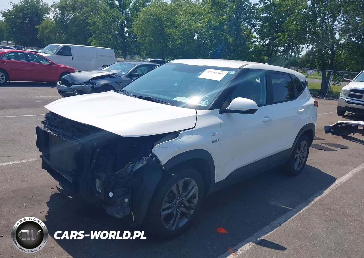 2021 Kia Seltos Lx VIN:KNDEPCAA6M7116343 - 2