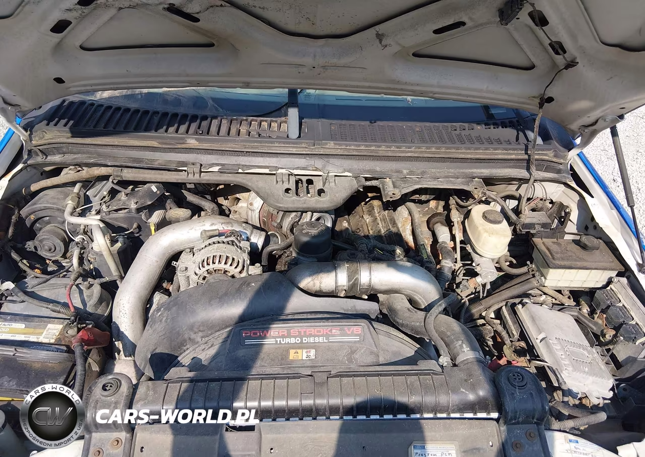 2004 Ford F-250 Lariat-Xl-Xlt VIN:1FTNX21P74EC21418 - 10