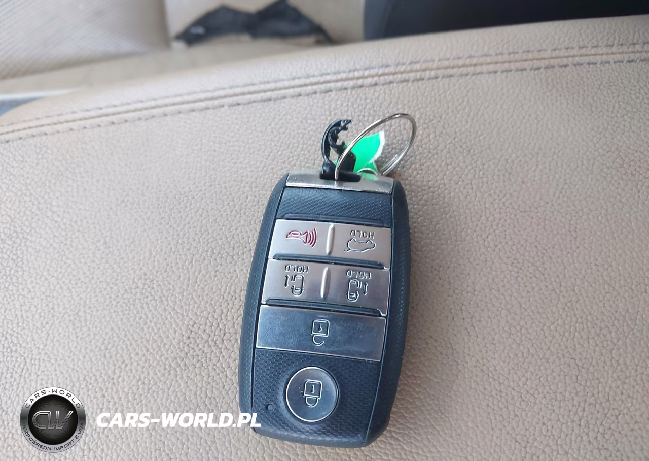 2015 Kia Sedona Sx VIN:KNDMC5C12F6066310 - 11