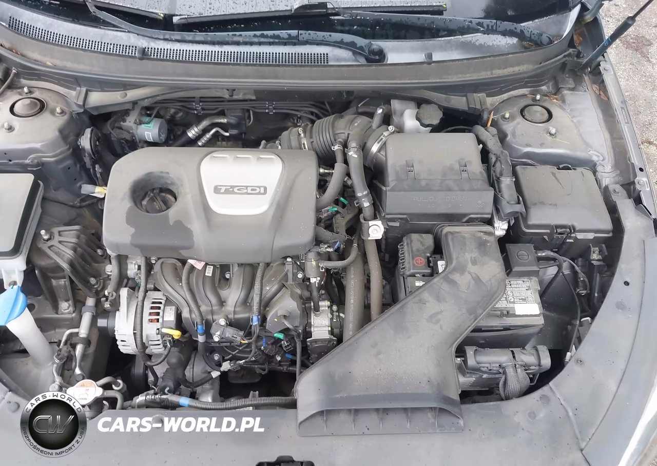 2019 Hyundai Sonata Eco VIN:5NPE24AA7KH802761 - 10