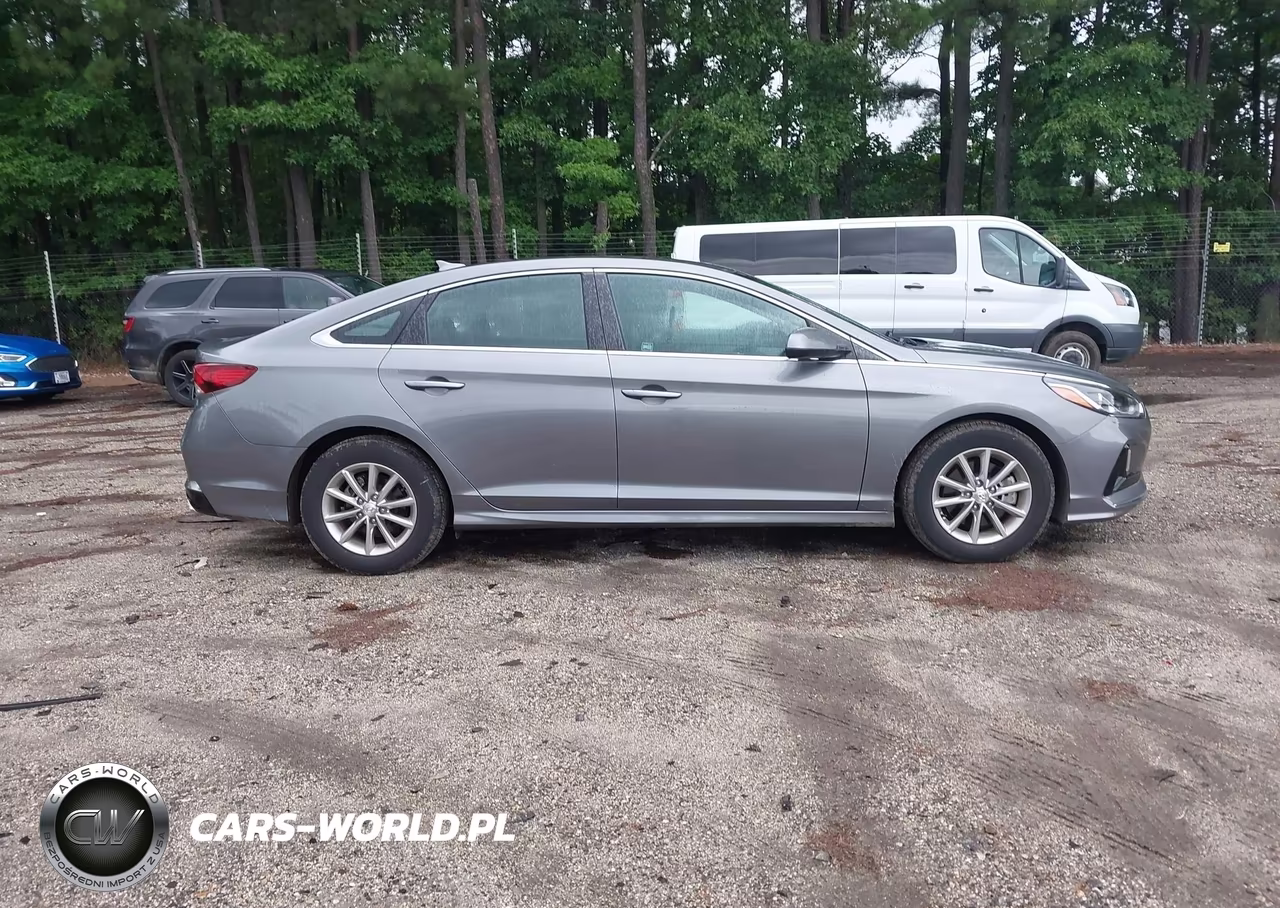 2019 Hyundai Sonata Eco VIN:5NPE24AA7KH802761 - 13