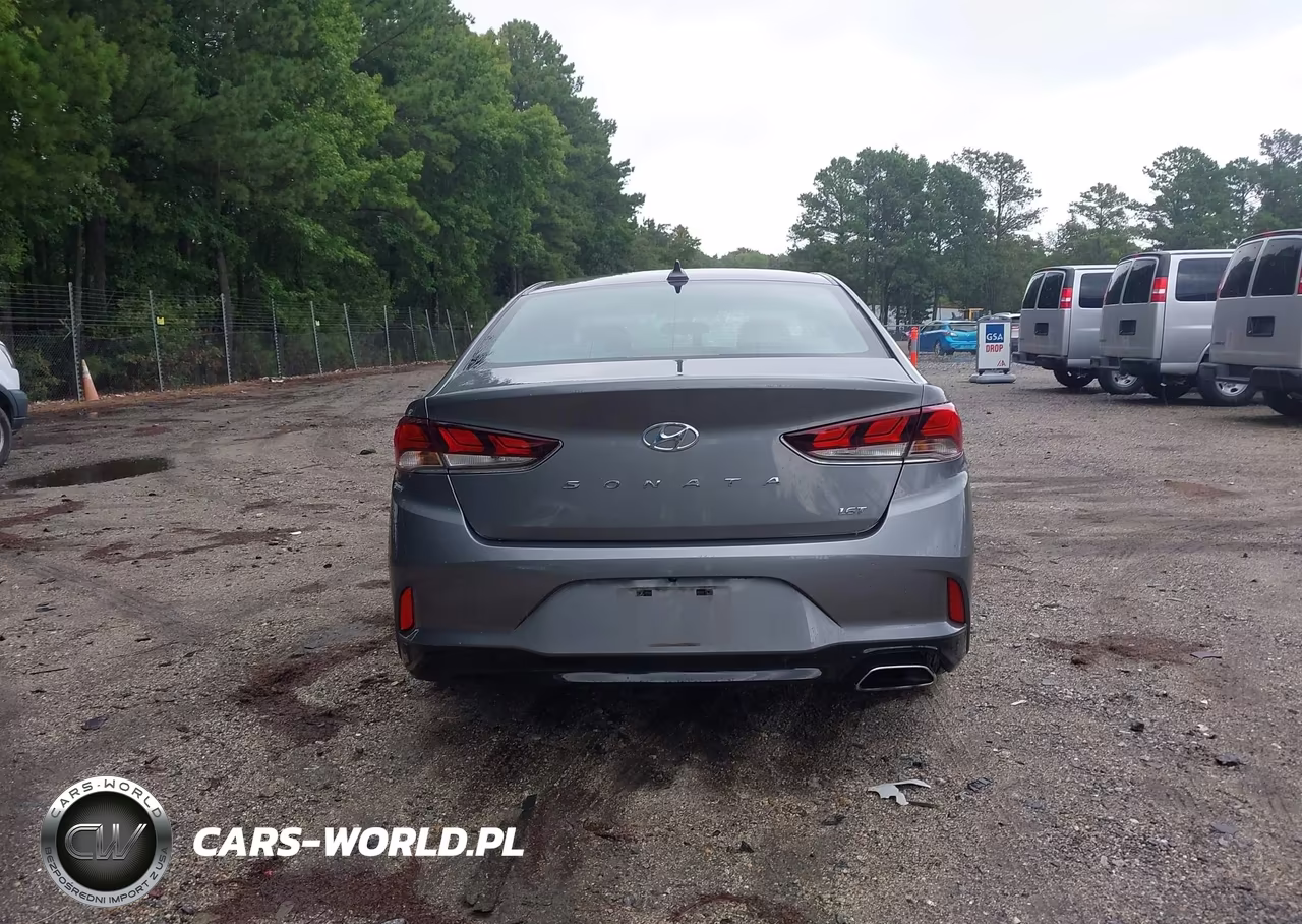 2019 Hyundai Sonata Eco VIN:5NPE24AA7KH802761 - 16