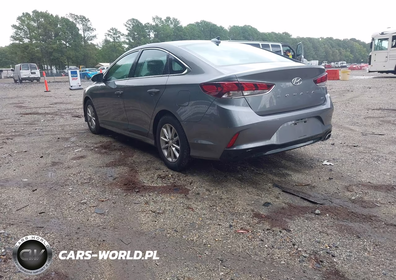 2019 Hyundai Sonata Eco VIN:5NPE24AA7KH802761 - 3