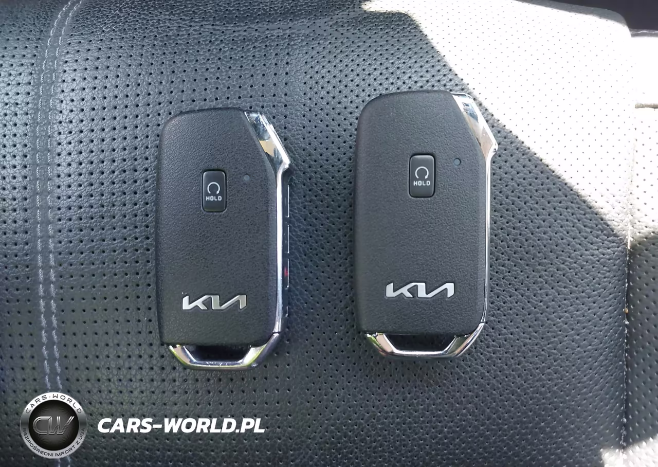 2022 Kia Telluride Ex VIN:5XYP34HCXNG292141 - 11