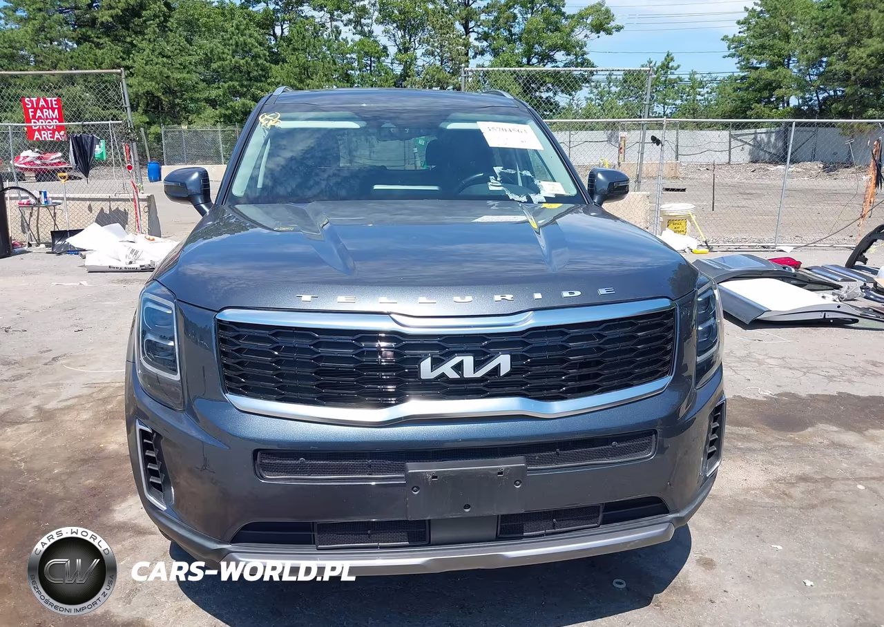 2022 Kia Telluride Ex VIN:5XYP34HCXNG292141 - 13