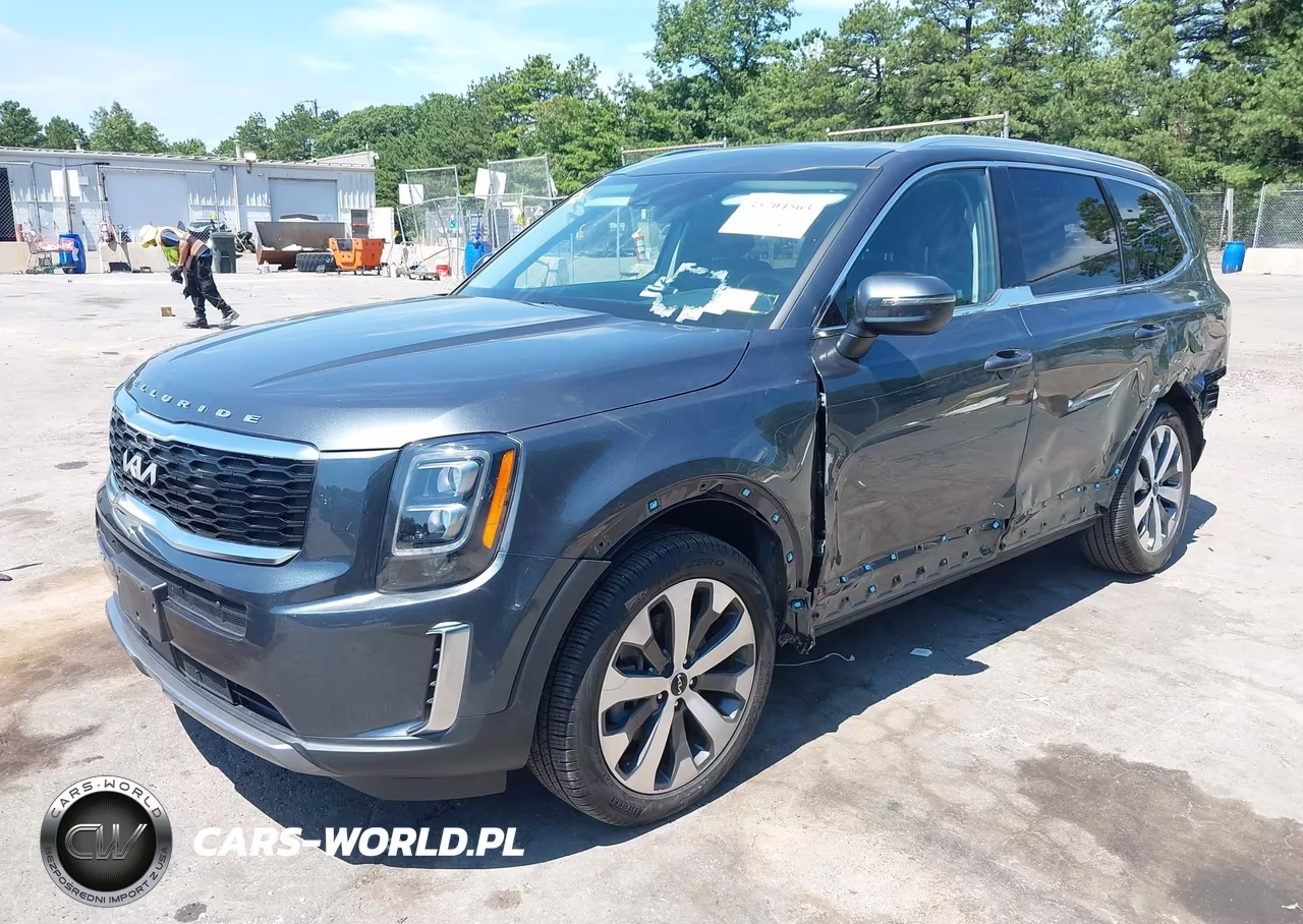 2022 Kia Telluride Ex VIN:5XYP34HCXNG292141 - 2
