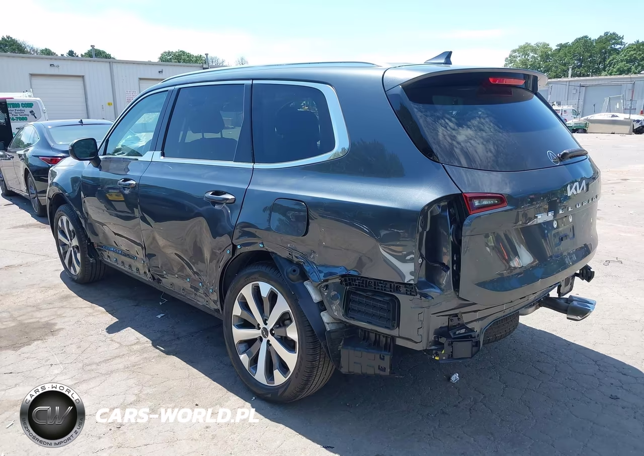 2022 Kia Telluride Ex VIN:5XYP34HCXNG292141 - 6