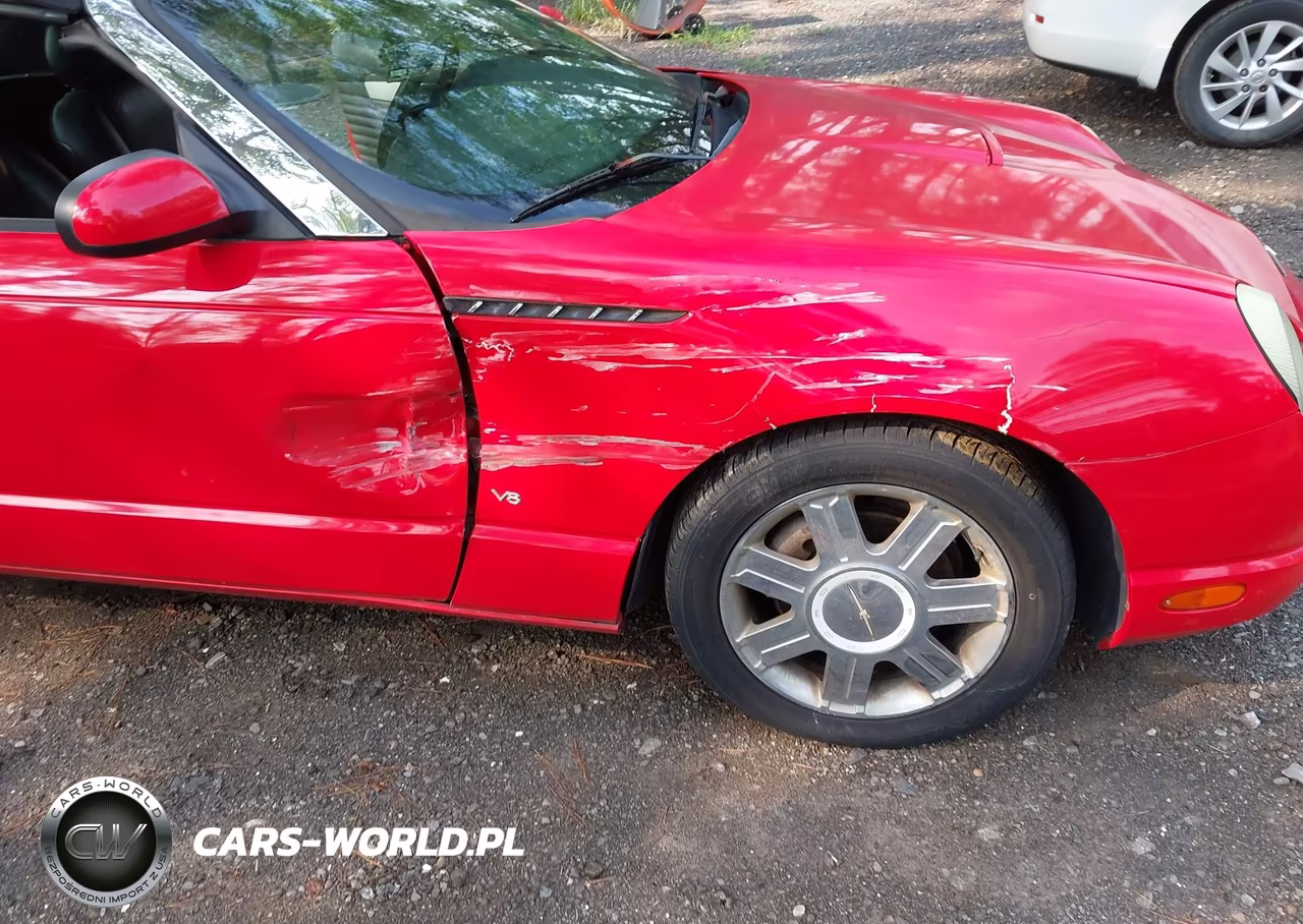 2004 Ford Thunderbird VIN:1FAHP60A24Y107932 - 18