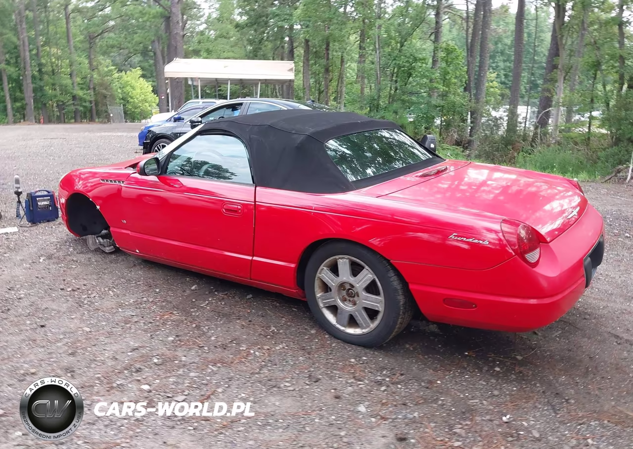 2004 Ford Thunderbird VIN:1FAHP60A24Y107932 - 3