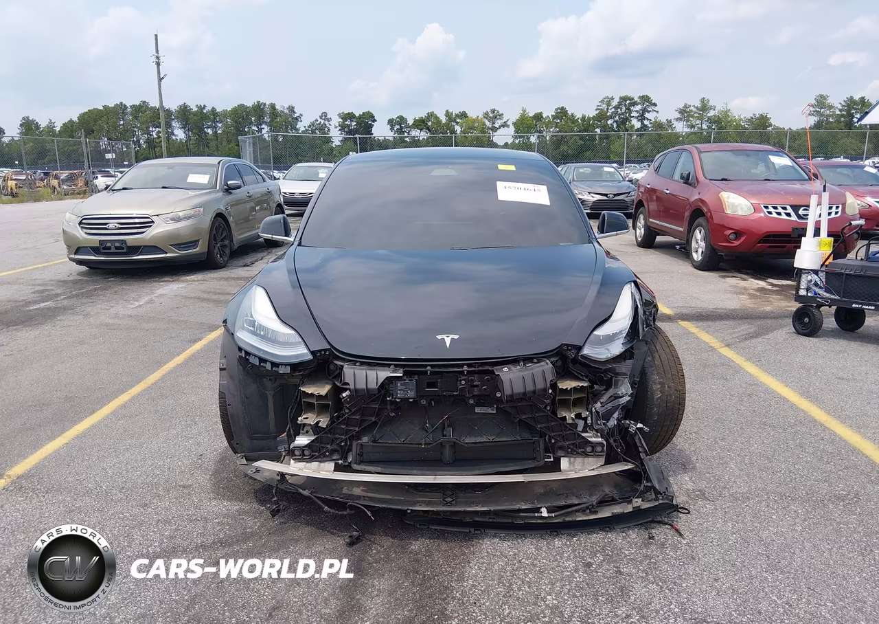 2019 Tesla Model 3 Long Range-Mid Range-Standard Range-Standard Range Plus VIN:5YJ3E1EA1KF410218 - 13