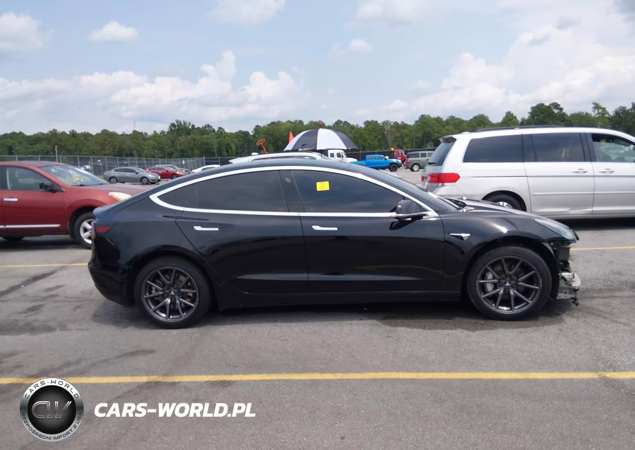 2019 Tesla Model 3 Long Range-Mid Range-Standard Range-Standard Range Plus VIN:5YJ3E1EA1KF410218 - 14