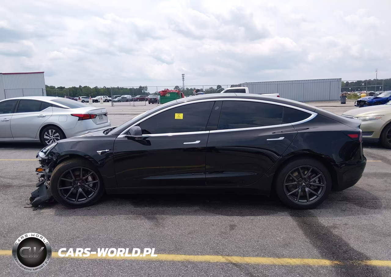 2019 Tesla Model 3 Long Range-Mid Range-Standard Range-Standard Range Plus VIN:5YJ3E1EA1KF410218 - 15