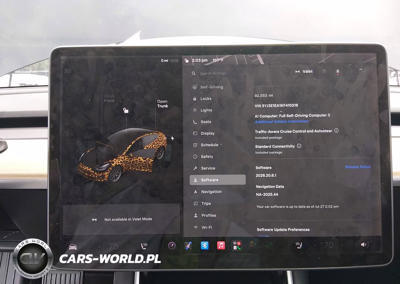2019 Tesla Model 3 Long Range-Mid Range-Standard Range-Standard Range Plus VIN:5YJ3E1EA1KF410218 - 19